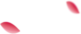 成都极趣家开云电子_开云（中国）面案例鉴赏